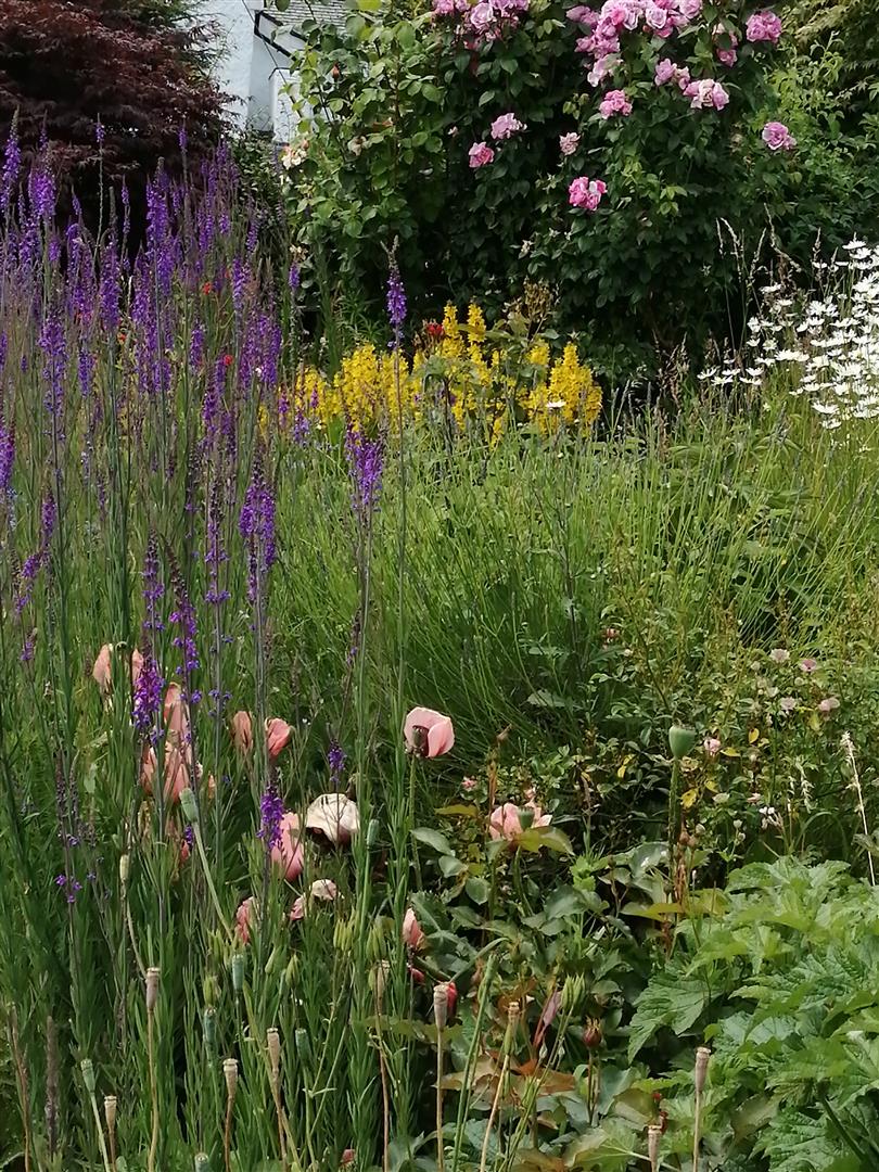 Silverdale Cottage Springbank Close, Oswestry, SY10 9DJ For Sale Silverdale Cottage Springbank Close, Oswestry, SY10 9DJ For Sale